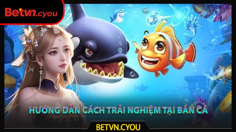 Hướng dẫn cách trải nghiệm tại bắn cá Betvn