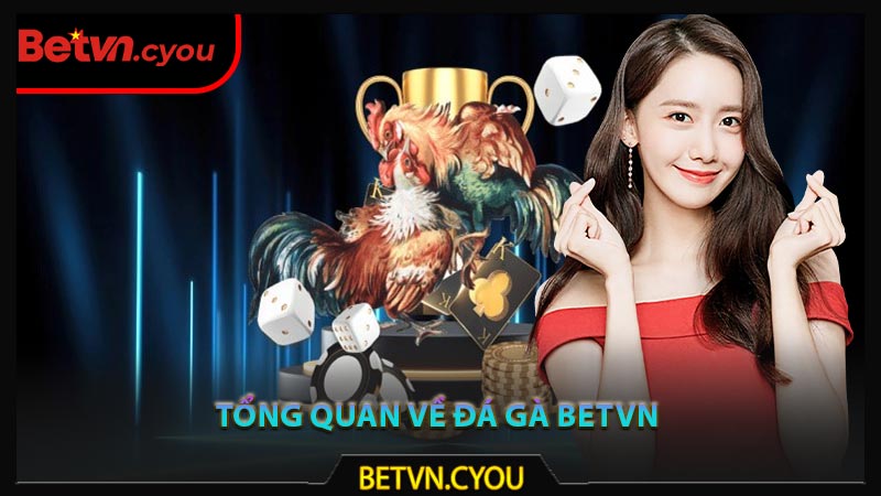 Tổng quan về đá gà Betvn